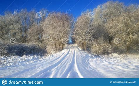 Snowy Road. Big Trees in the Snow Stock Photo - Image of snowfall, path: 145553340