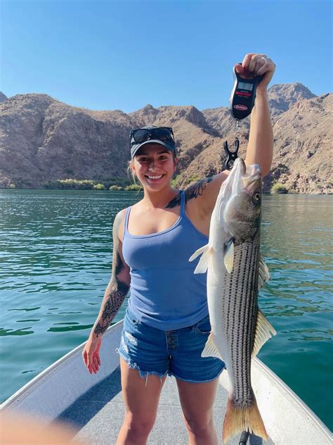 Willow Beach, Colorado River anglers beat the heat for stripers and trout | Western Outdoor News