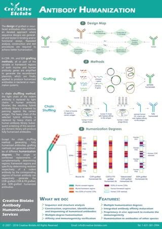 Antibody humanization | PDF