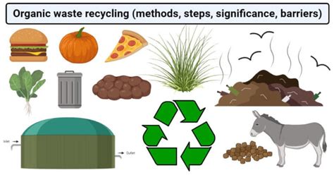 Organic waste recycling (methods, steps, significance, barriers)