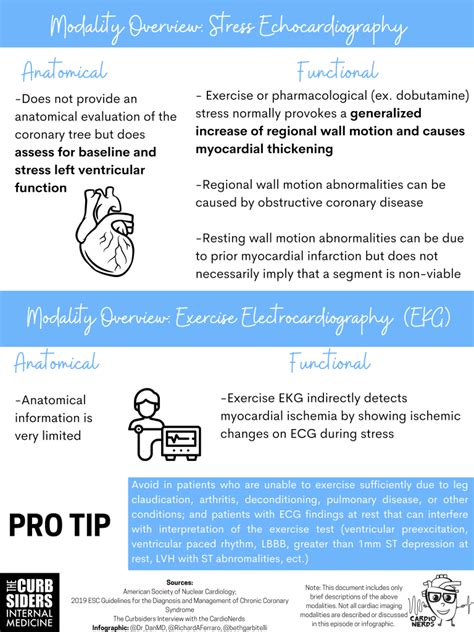 Stress-Echocardiography-Graphic-by-Beth-Garbitelli - The Curbsiders