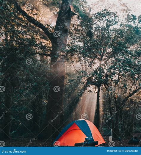 Camp Tent in the Forest stock image. Image of winter - 260096173