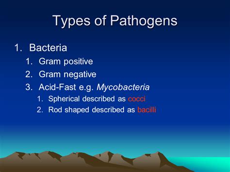 Infectious diseases - Presentation Biology