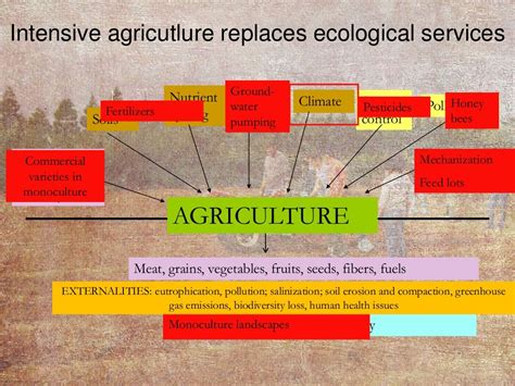 Agroecology: Principles and Practices