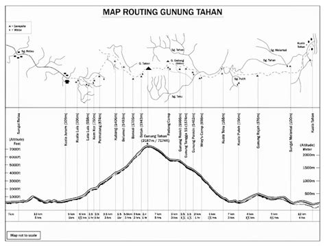 Trans Gunung Tahan 人生必做一次【跨越西马最高峰ᄿ大汉山】前言｜行程表｜小攻略 | 乐飞翎 ♥ LUVFEELIN