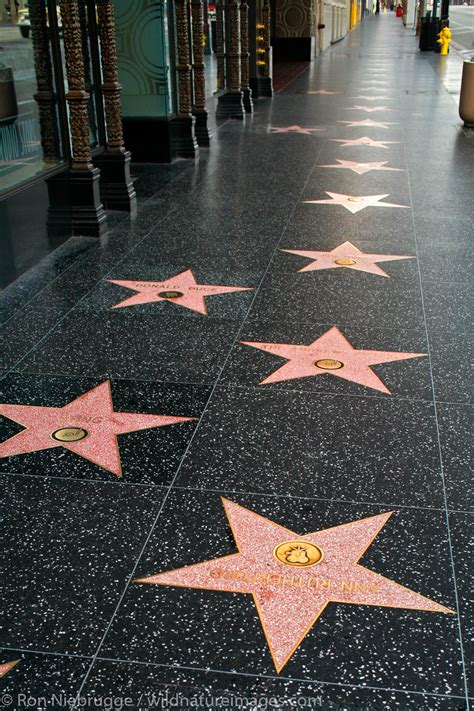 Stars on the Hollywood Walk of Fame | Los Angeles, California. | Photos ...