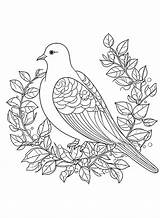 20  Doves Coloring Pages Free Printable PDF & Online sketch template