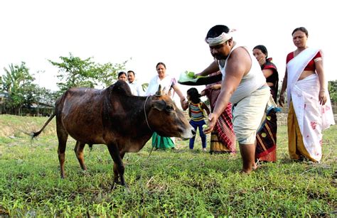 Rituals on Bohag Bihu