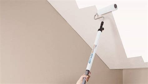 7 Best Paint Rollers for Ceilings in 2021 Compared & Reviewed | Wezaggle