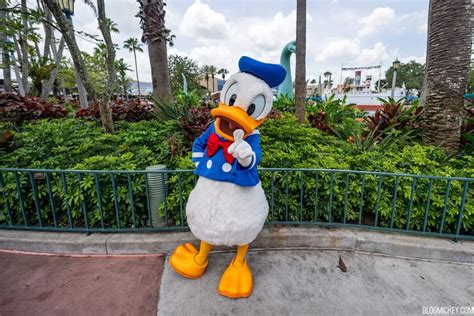 Donald Duck Now Meeting With Guests at Echo Lake in Disney's Hollywood Studios