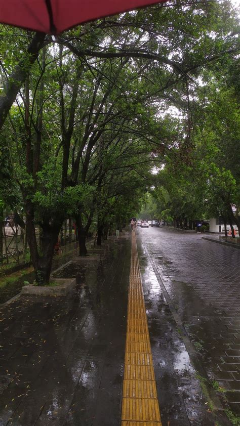 Walking down the rain | Pemandangan, Alam yang indah, Hujan