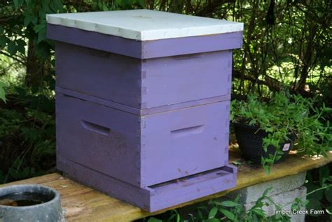 How to Start a Bee Farm - Backyard Beekeeping