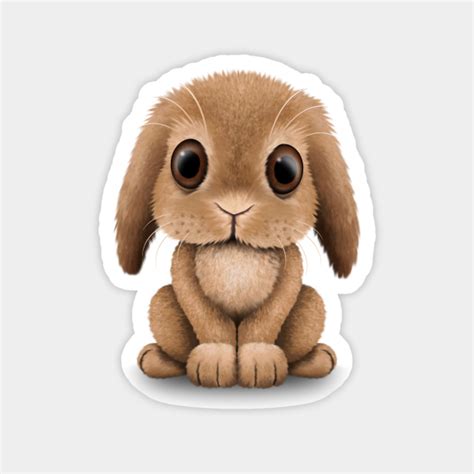 Cute Brown Baby Bunny Rabbit - Bunny - Magnet | TeePublic