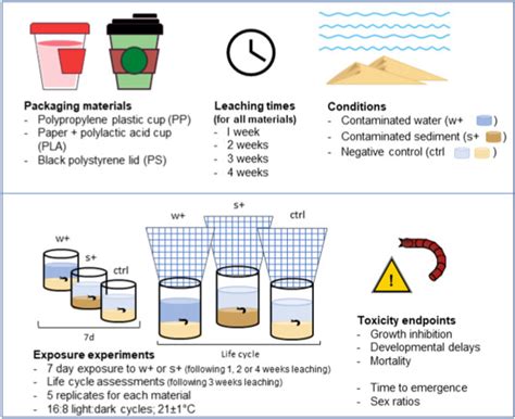 Paper cups are just as toxic as plastic cups - Superinnovators