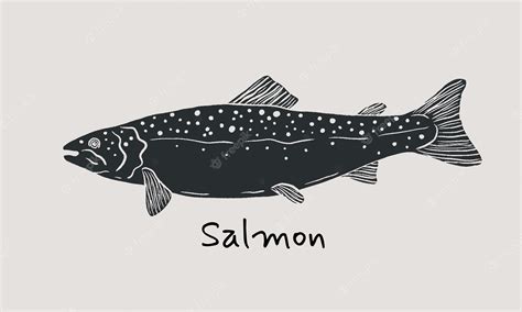 Premium Vector | Hand drawn salmon fish in sketch style simple vector ...