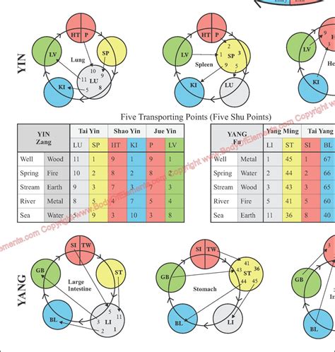 Color Five Element Acupuncture Points Poster – Body of Elements
