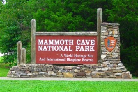 Three Campgrounds near Mammoth Cave National Park