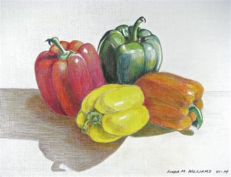 Pepper Still Life - Color Pencil | Loose watercolor paintings, Art drawings sketches creative ...