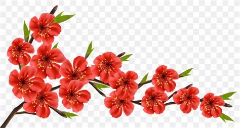 Flowery Branch Clip Art, PNG, 5054x2706px, Flower, Blossom, Branch, Cherry Blossom, Cut Flowers ...