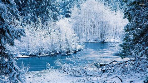 Winter Forest Wallpapers - Wallpaper Cave