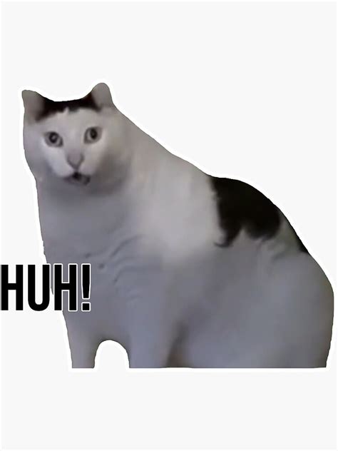 Huh Cat Meme Template Youtube - vrogue.co