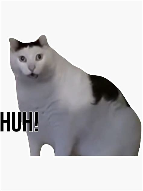 "Huh cat with text" Sticker for Sale by rbuser4 | Redbubble