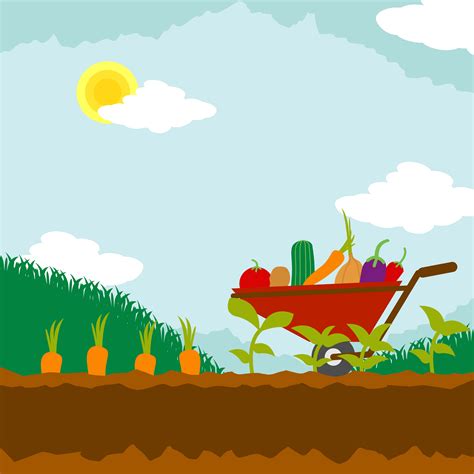 Vegetable Garden Illustration 202047 Vector Art at Vecteezy