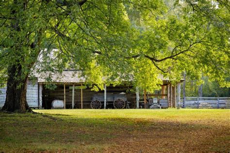 Amish History (A Comprehensive Guide) – Amish Baskets