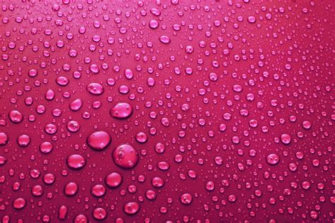 Pink Water Droplets Free Wallpaper download - Download Free Pink Water ...