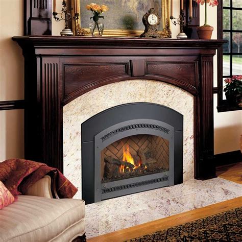 LP Gas Fireplace Insert – Fireplace Guide by Chris