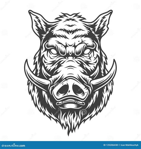 Boar Head Drawing