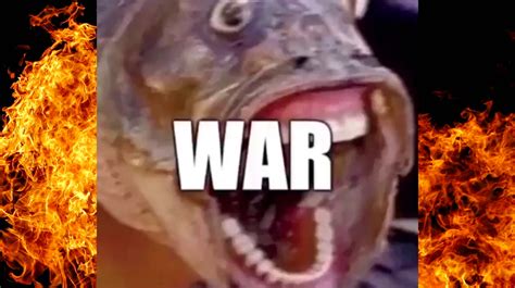 Fish Screaming "WAR" | Know Your Meme