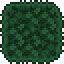 Grass Wall - Official Terraria Wiki