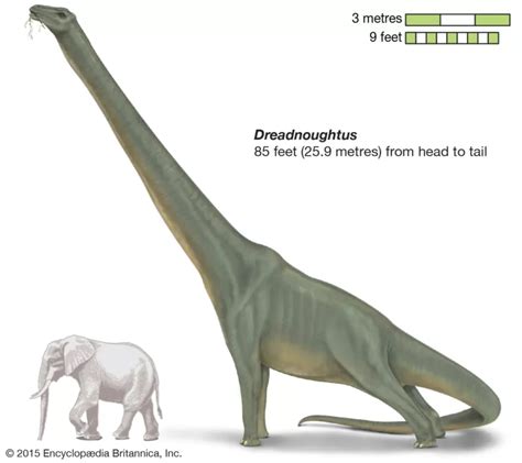 Os 8 maiores dinossauros que já existiram