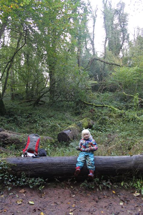 Ebbor Gorge, Priddy, Somerset. An... - Wild Walks With Kids | Facebook