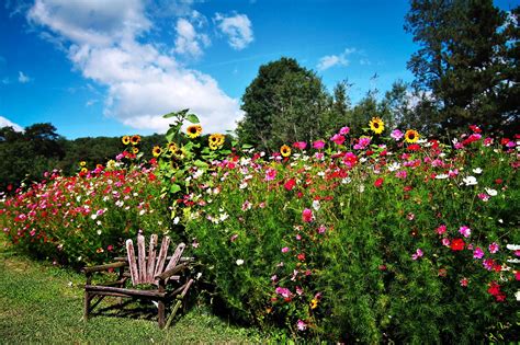 Garden Bloggers Fling: American Meadows: Wildflower Warriors