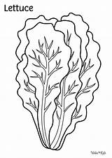 Lettuce Coloring Pages Free Printable PDFs  WakeTheKids sketch template