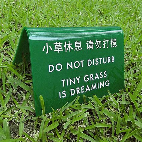 Tiny Grass is Dreaming Lawn Sign | Funny garden signs, Funny signs ...