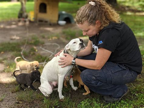 Father's House International Animal Rescue at Robert Choate blog