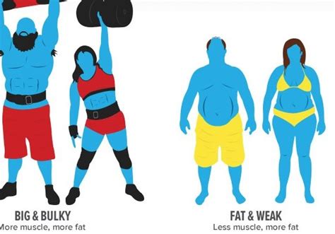 the-matrix-of-fat-versus-muscle_infographic