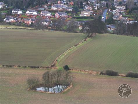 Good Barn Owl habitat - The Barn Owl Trust