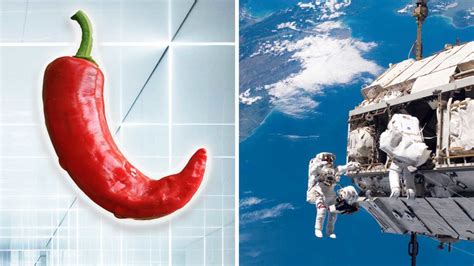 NASA Is Growing Chili Peppers In the Space Station