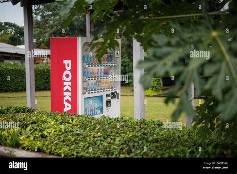 Singapore - July 9 2023: Pokka Vending Machine Behind Vegatation Stock Photo - Alamy