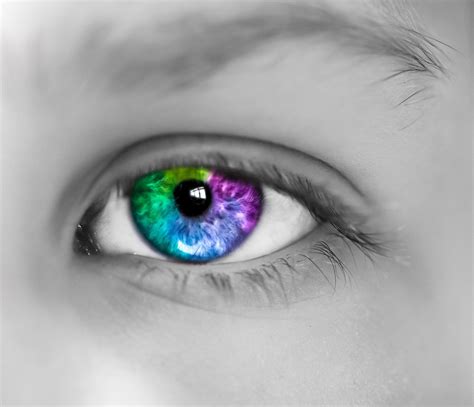 eye color based caste system designed by probably the alt right hapas - human eye color chart ...
