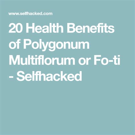 20 Health Benefits of Polygonum Multiflorum or Fo-ti - Selfhacked ...