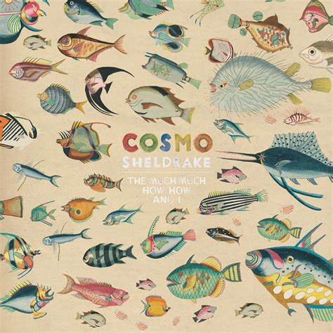 COSMO SHELDRAKE AND ATYPICAL MUSIC PROCEDURES ON THE ALBUM THE MUCH ...