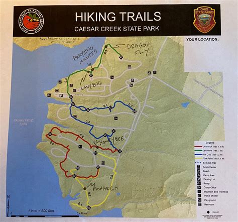 Caesar Creek State Park Trail Map - Printable Online