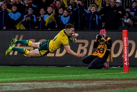 Wallabies Promise Unpredictability at the Rugby World Cup After Embracing Tumult - The New York ...