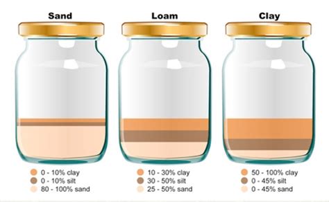 Water Holding Capacity · Nature of Soil