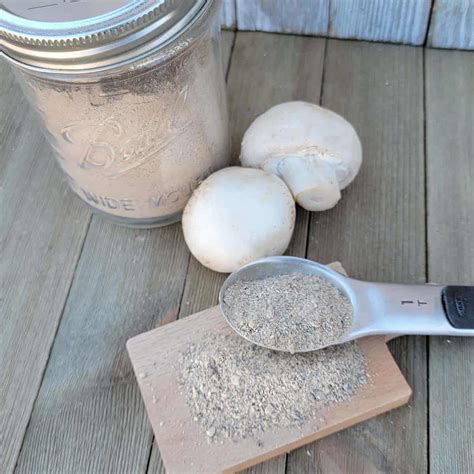 Mushroom Powder Seasoning Blend - The Purposeful Pantry